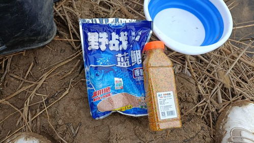 春钓饵料的秘密武器，千里香的正确使用方法
