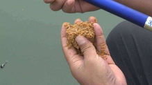 钓鱼饵料粘一层怎么办？5分钟教你轻松解决！
