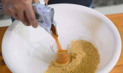 四季速钓鱼饵料怎么样？全面解析与实用技巧