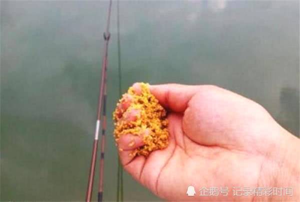 钓鱼饵料寄生虫怎么办？实用小妙招大公开