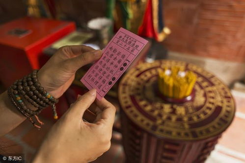 天罡钓鱼饵料怎么样？深度解析是否值得入手