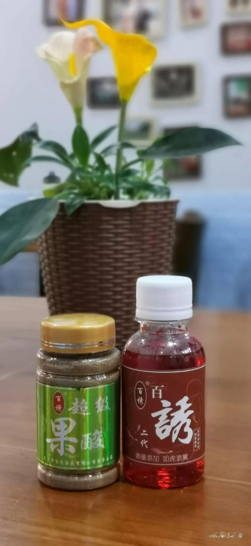 钓鱼饵料越来越多了怎么办？实用指南助你轻松应对
