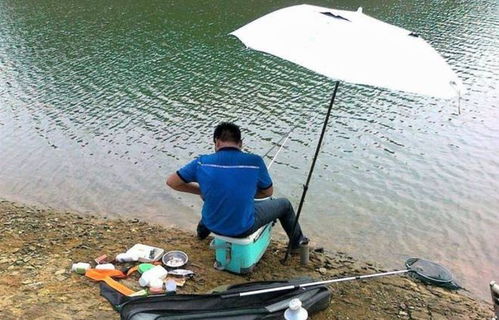 钓鱼饵料生产流水线怎么做，低成本创业与家庭DIY指南