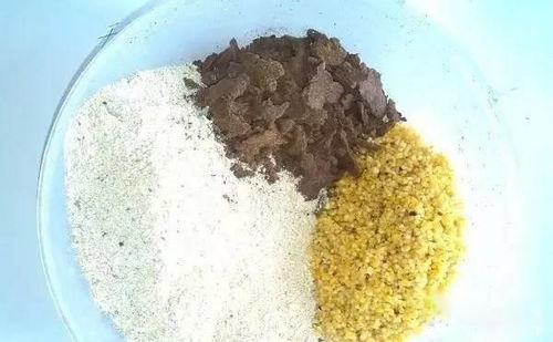 第一次钓鱼饵料怎么用？新手必看的入门指南
