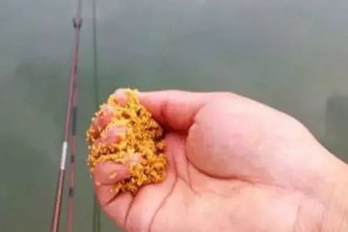买的钓鱼饵料怎么弄的好？专业钓手的饵料处理秘籍