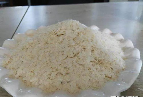 小杨哥钓鱼饵料评测，效果如何？值得尝试吗？