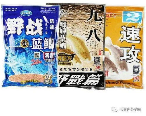 潘阳湖钓鱼饵料怎么样？深度解析与实战技巧