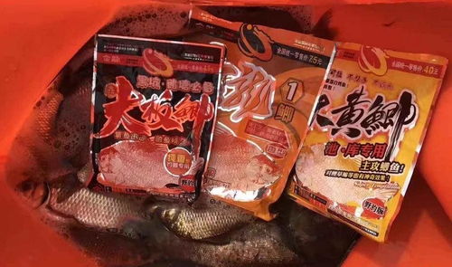 钓鱼饵料干的快吗怎么办？全面解析与实用解决方案