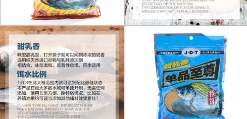 第一次钓鱼饵料怎么选，新手必看指南