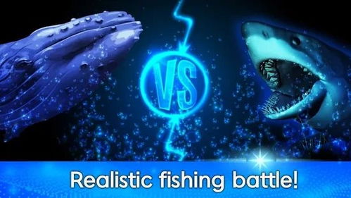The Art of Fishing:How a钓鱼Tips Streamer Engages Viewers