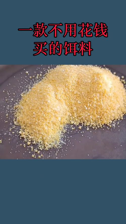 卡拉胶，天然钓鱼饵料的秘密武器