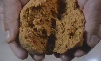 钓鱼饵料混在一起是怎么回事？