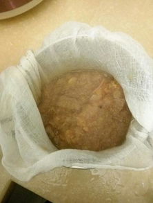 自制钓鱼饵料花胶，提升诱鱼效果的秘方