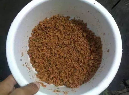塘子钓鱼饵料怎么用？这份详细指南让你轻松上鱼！