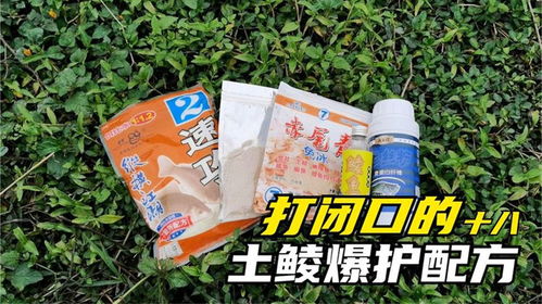 小宝爱钓鱼饵料怎么样好用吗？深度评测告诉你答案！