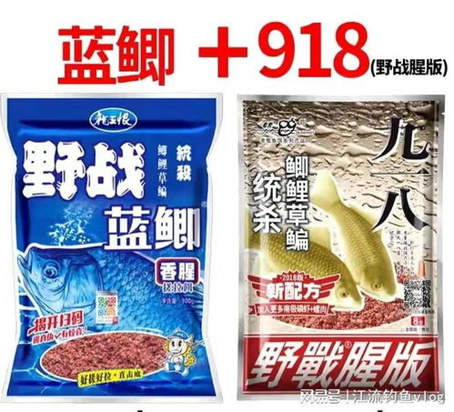钓鱼饵料化水太快怎么办？这些方法让你轻松应对！