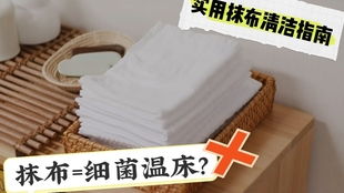 马鹿河钓鱼饵料怎么样，全面评测与实用指南