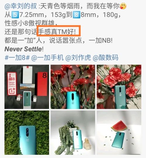 小飞哥钓鱼饵料怎么样？全面评测与用户反馈