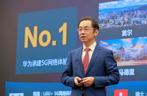 苏新服务选举王华为执行董事、董事长