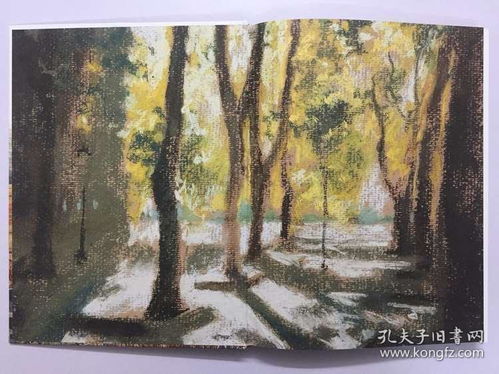 Mastering the Art of Fishing in Huangshui River:Essential Techniques for Anglers