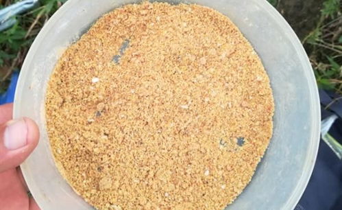 钓鱼饵料怎么加虾粉的效果好？