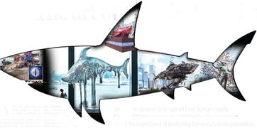 Mastering the Art of Fishing:Tips and Insights for Beginners