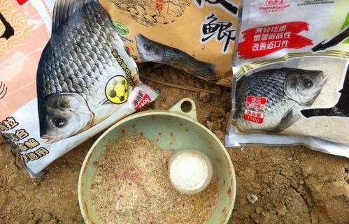 钓鱼饵料新选择，自制牛肉汤饵料全攻略