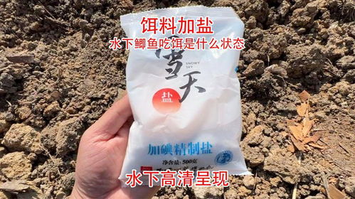 蓝山钓鱼饵料怎么样？深度评测告诉你它到底好用吗！