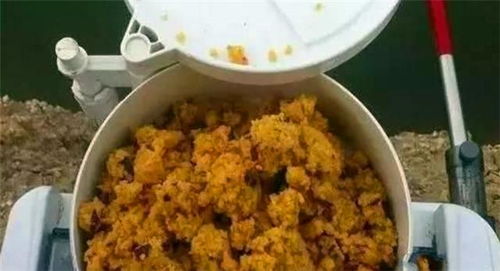 大盘鸡钓鱼饵料怎么样配？一份专业饵料配方与使用指南