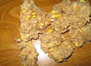 自制花生饼钓鱼饵料的制作方法，从零开始的详细指南