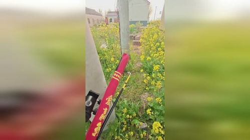 春暖花开，四月钓鱼饵怎么开才好？