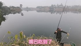 南极磷虾钓鱼饵料自制终极秘籍，让你的鱼儿疯狂咬钩！