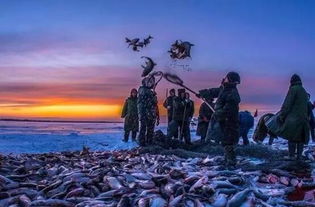 Mastering Winter Fishing Techniques:Expert Tips for Catching Fish at Wild Ponds