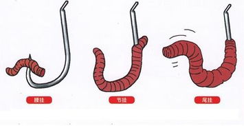 揭秘锡头钩钓鱼饵料使用全攻略，附视频教程详解