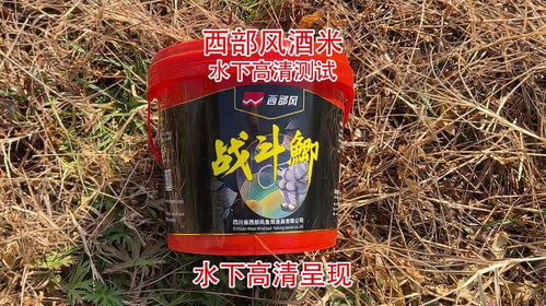包谷谷麦钓鱼饵料怎么样？天然谷物的诱惑力与实战应用全解析