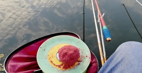 钓鱼饵料盘怎么装上去的，一步步教你轻松搞定！