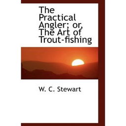 Mastering the Art of Fishing:A Beginners Guide to Using a Newbie Rod
