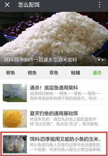 雷臣钓鱼饵料怎么样，全面评测与用户反馈