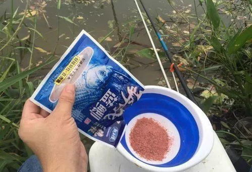 钓鱼饵料不脏手不粘的实用技巧