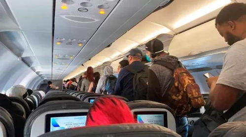 加拿大西捷航空称部分乘客数据在网络安全漏洞中泄露