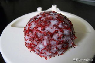红虫鲜虾钓鱼饵料怎么样？这两种饵料的搭配使用效果分析