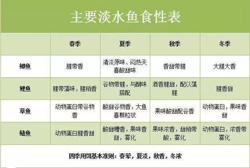 钓鱼饵料配方，从入门到精通的全方位指南