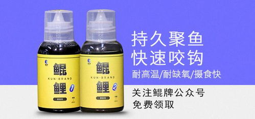 钓鱼饵料雾化器怎么用？视频教学让你轻松掌握撒饵技巧