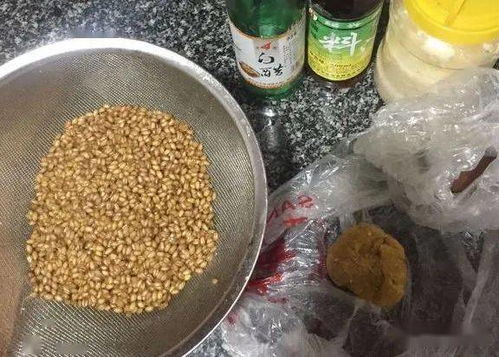青哥哥钓鱼饵料怎么样用？这份详细指南让你轻松上鱼！