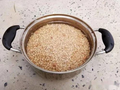 谷麦自制钓鱼饵料怎么样？