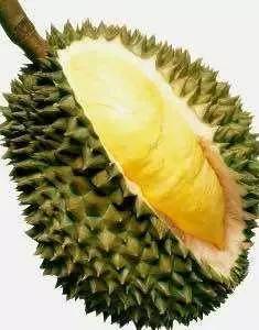 一文看懂，榴莲壳如何制作成美味钓鱼饵料
