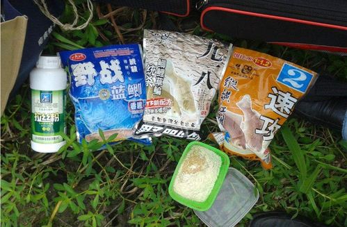 多姿多彩钓鱼饵料怎么样？揭秘饵料选择的艺术与科学