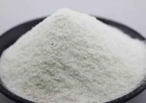 洛河水域钓鱼饵料怎么样，全面评测与实用指南