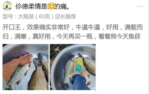 双十二钓鱼饵料怎么调？掌握这5大技巧，鱼获翻倍！