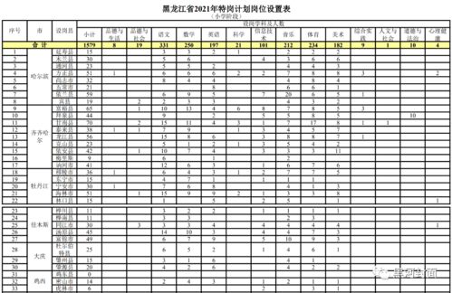 山煤国际：聘任韩涛先生为公司副总经理